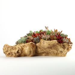 经典复古花盆 多肉拼盘花盆 树桩植物盆栽容器 家庭园艺花卉花盆