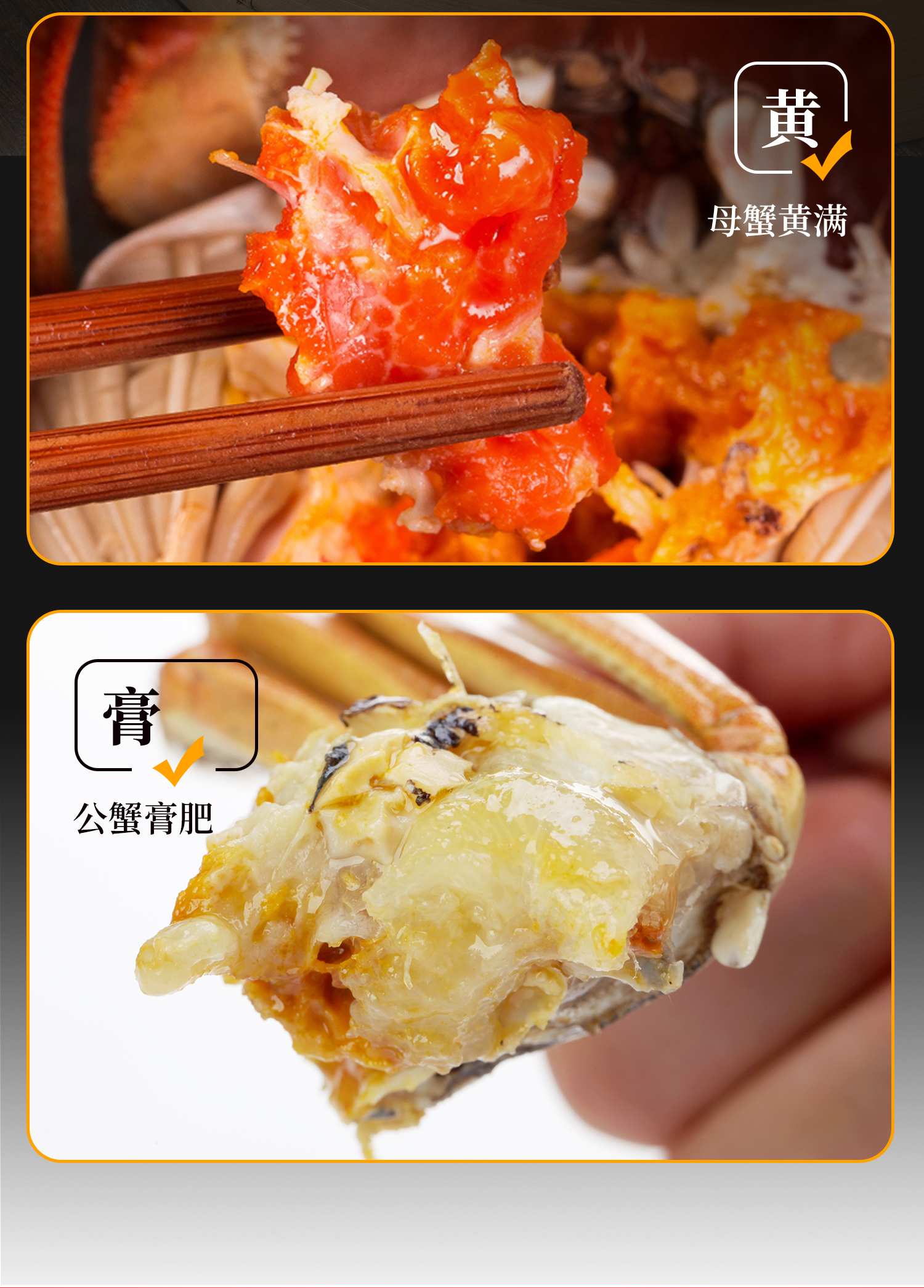2025新蟹卡详情---_07.jpg