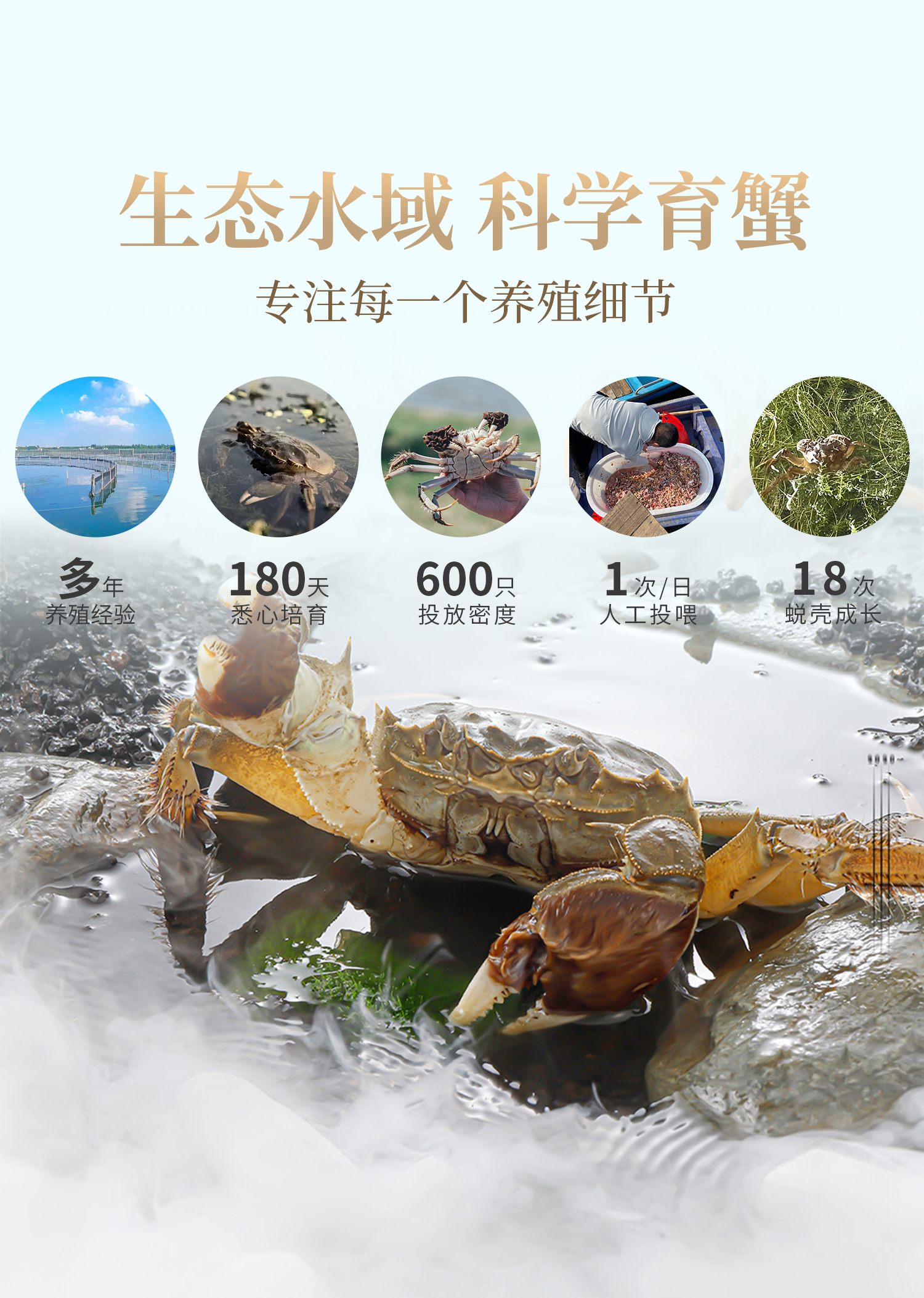 2025新蟹卡详情---_11.jpg