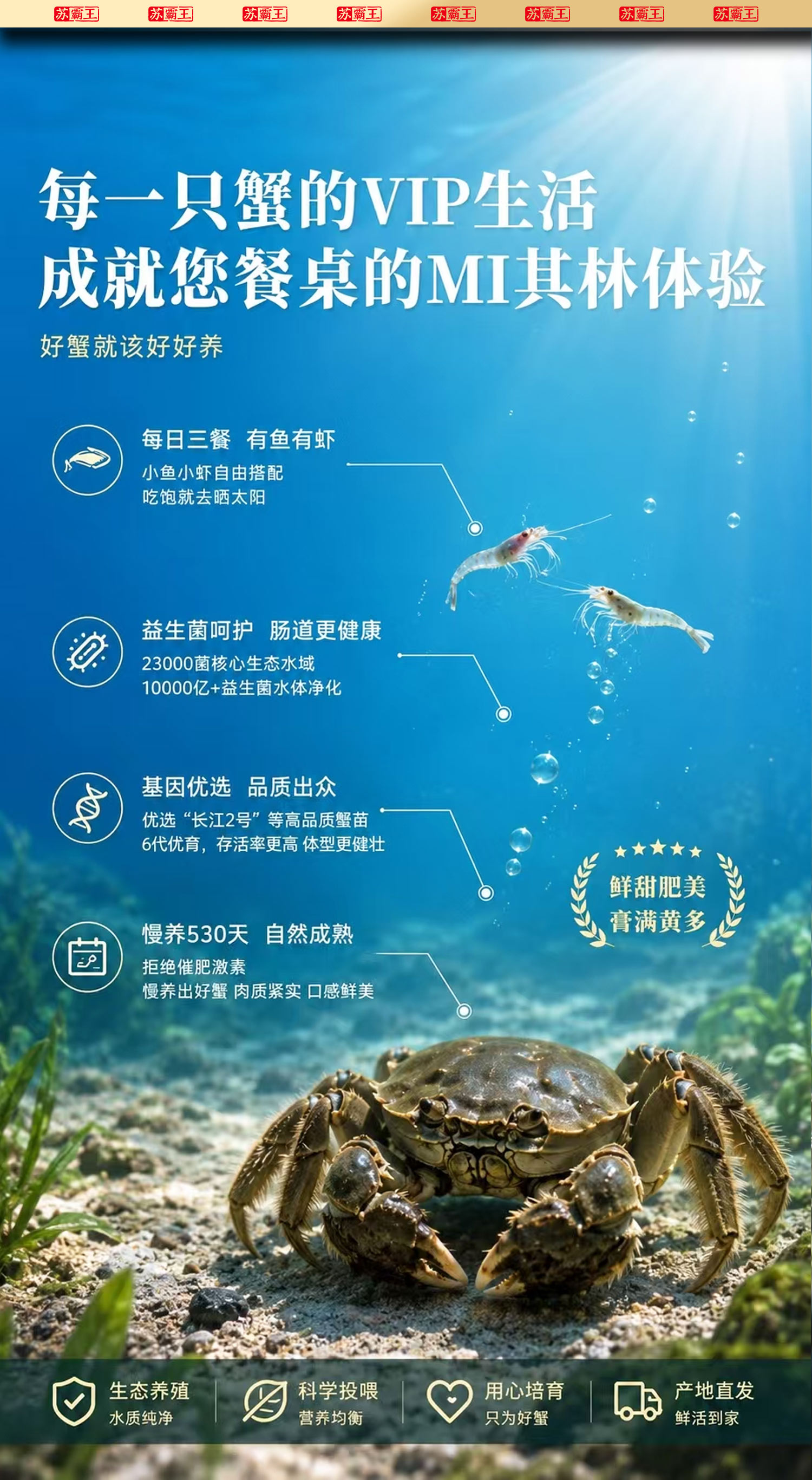 详情页psb_09.jpg