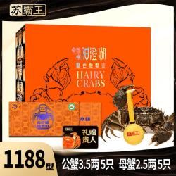 推荐款臻享之选 五对装