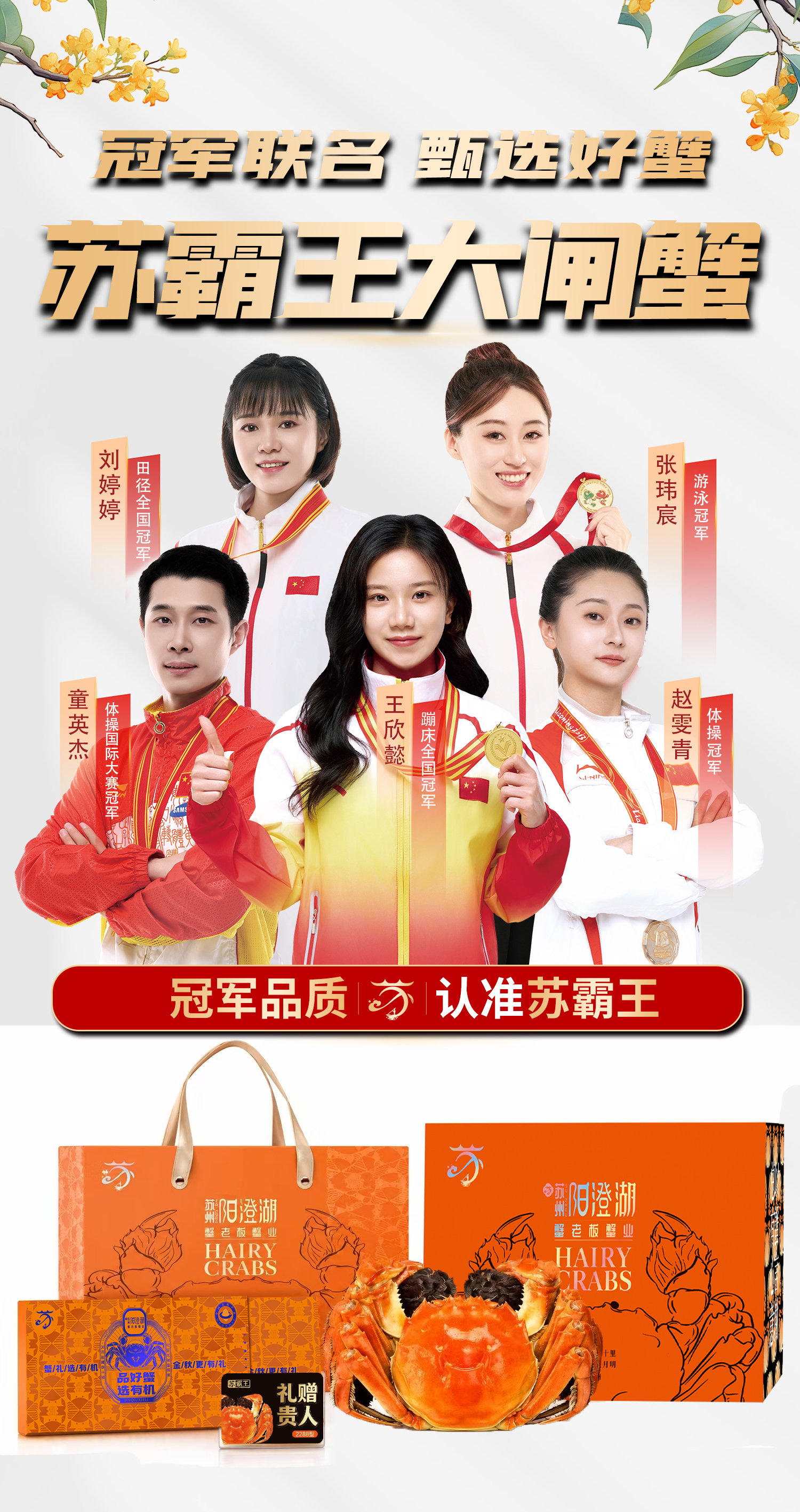 详情页psb_01.jpg